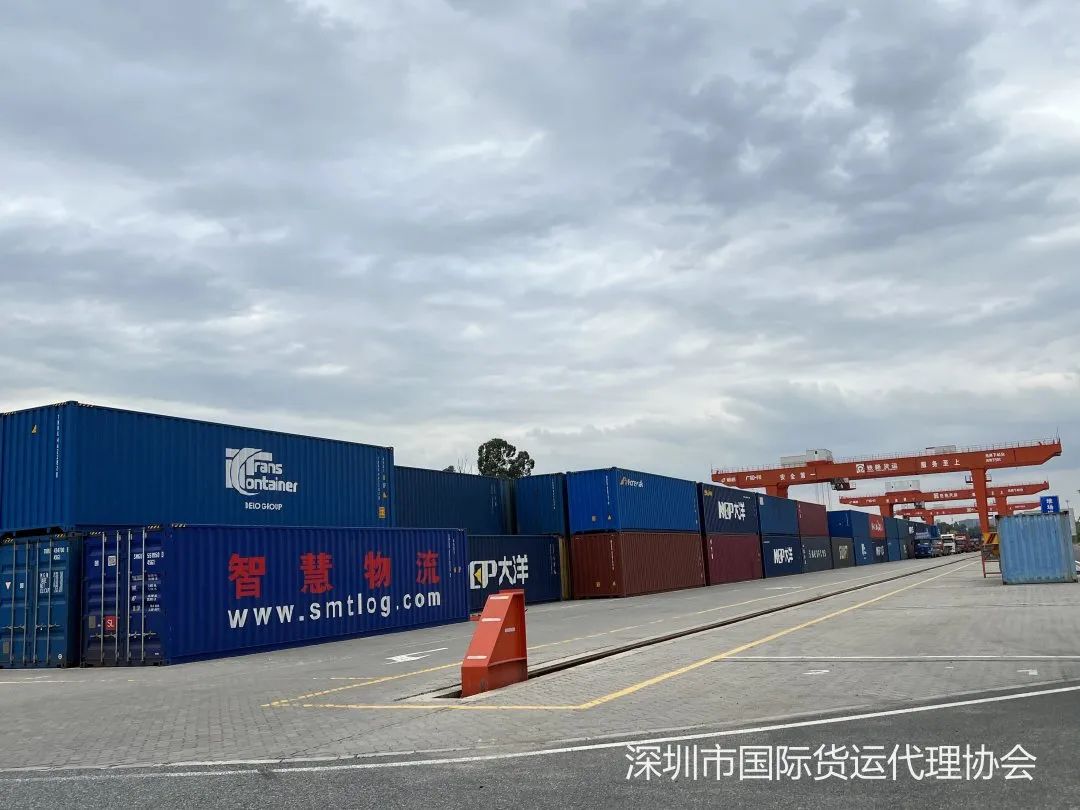深圳货代协会最新动态：协会组织会员走进深圳中外运物流